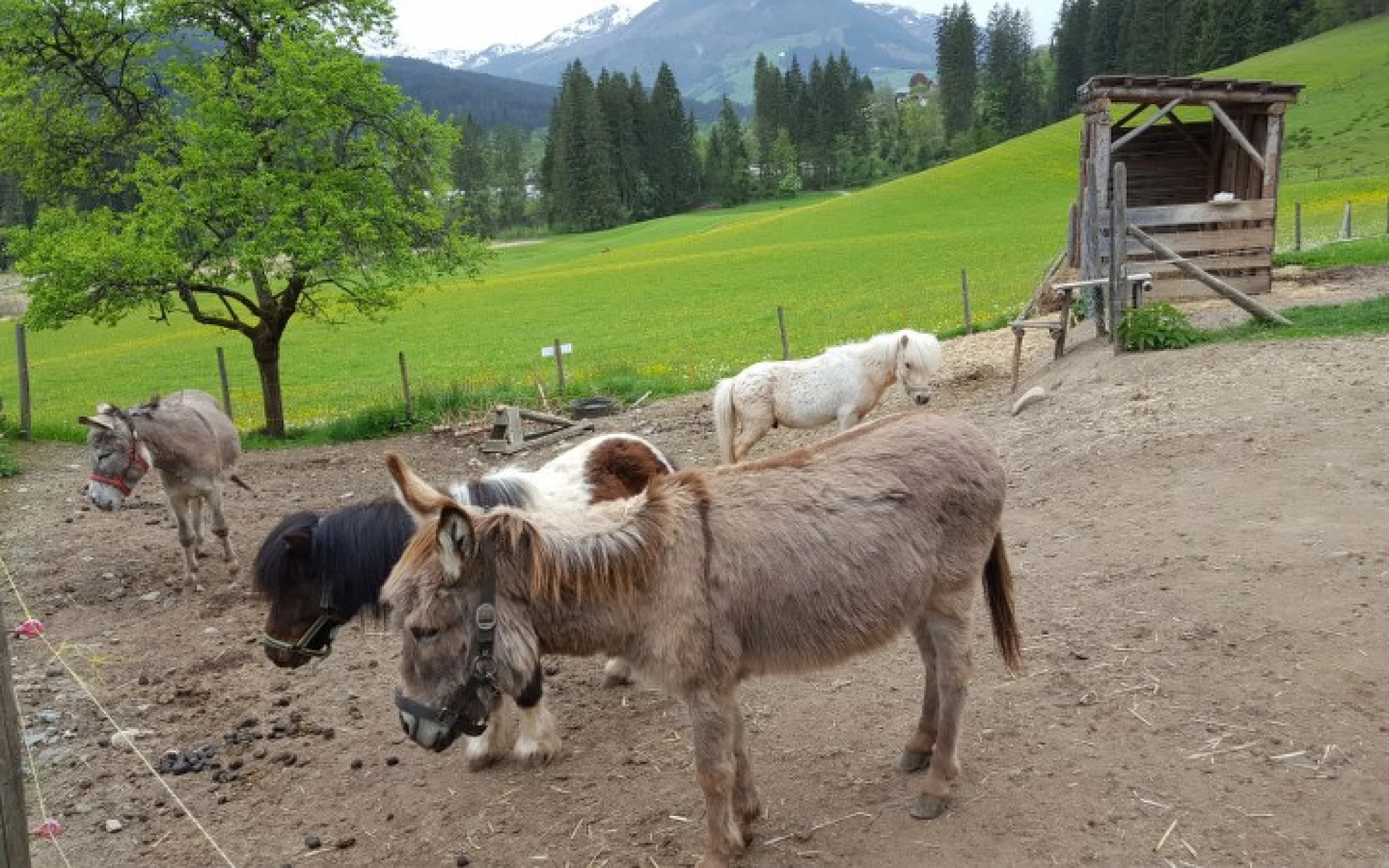 Lehrfahrt SaB 2016 34_800x450.jpg